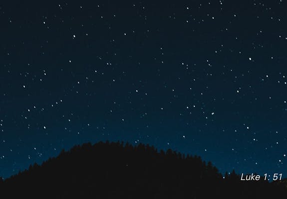 Co P website preview post 2