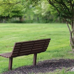 Grief and loss