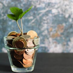 Money growing