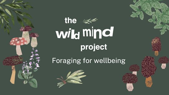 Wildmindlogowithtext