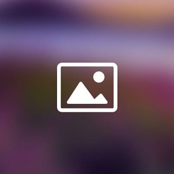 Placeholder 7 standard a28fceffd81530fbc800ca2bf70cafc8