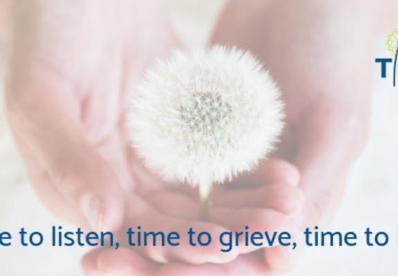 60261964 2230630570487512 1804499031599087616 n