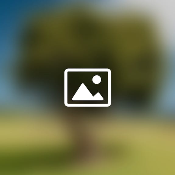 Placeholder 1 standard