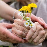 Website Elderly