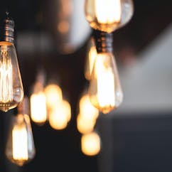Bulbs