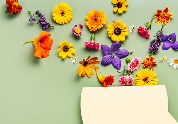 Mental health background