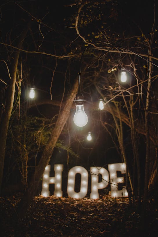 Ron smith 63t BU8et1 YY unsplash
