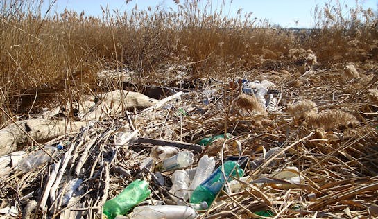 Beach waste